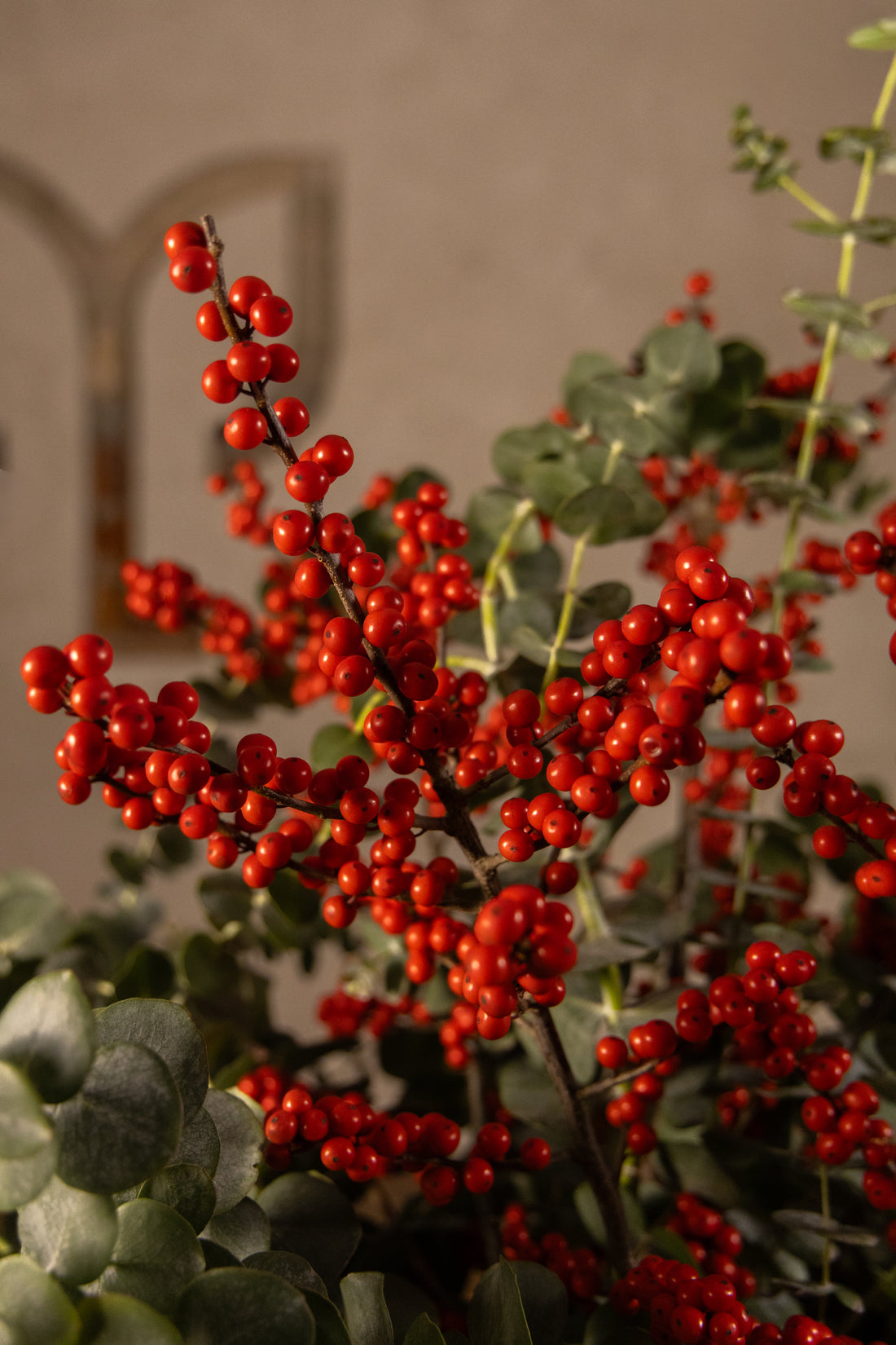 Ramo Ilex y Eucalipto