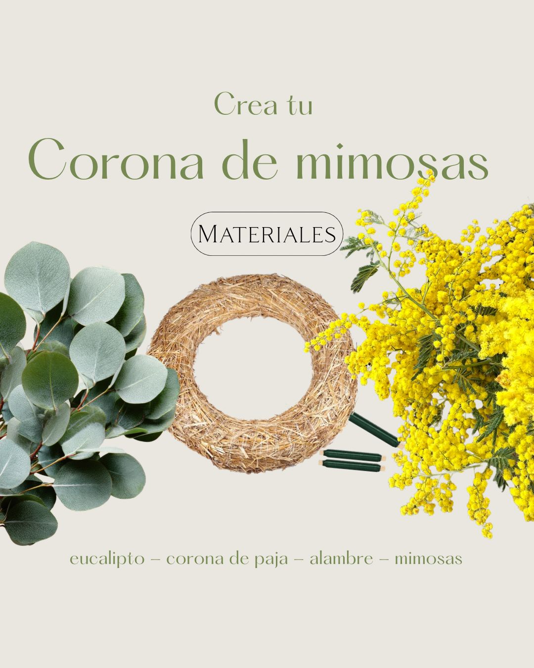 Mimosa Wreath Kit