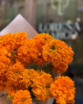 Detalle de las flores de cempasúchil naranja, con el rótulo de Lorena Marco al fondo