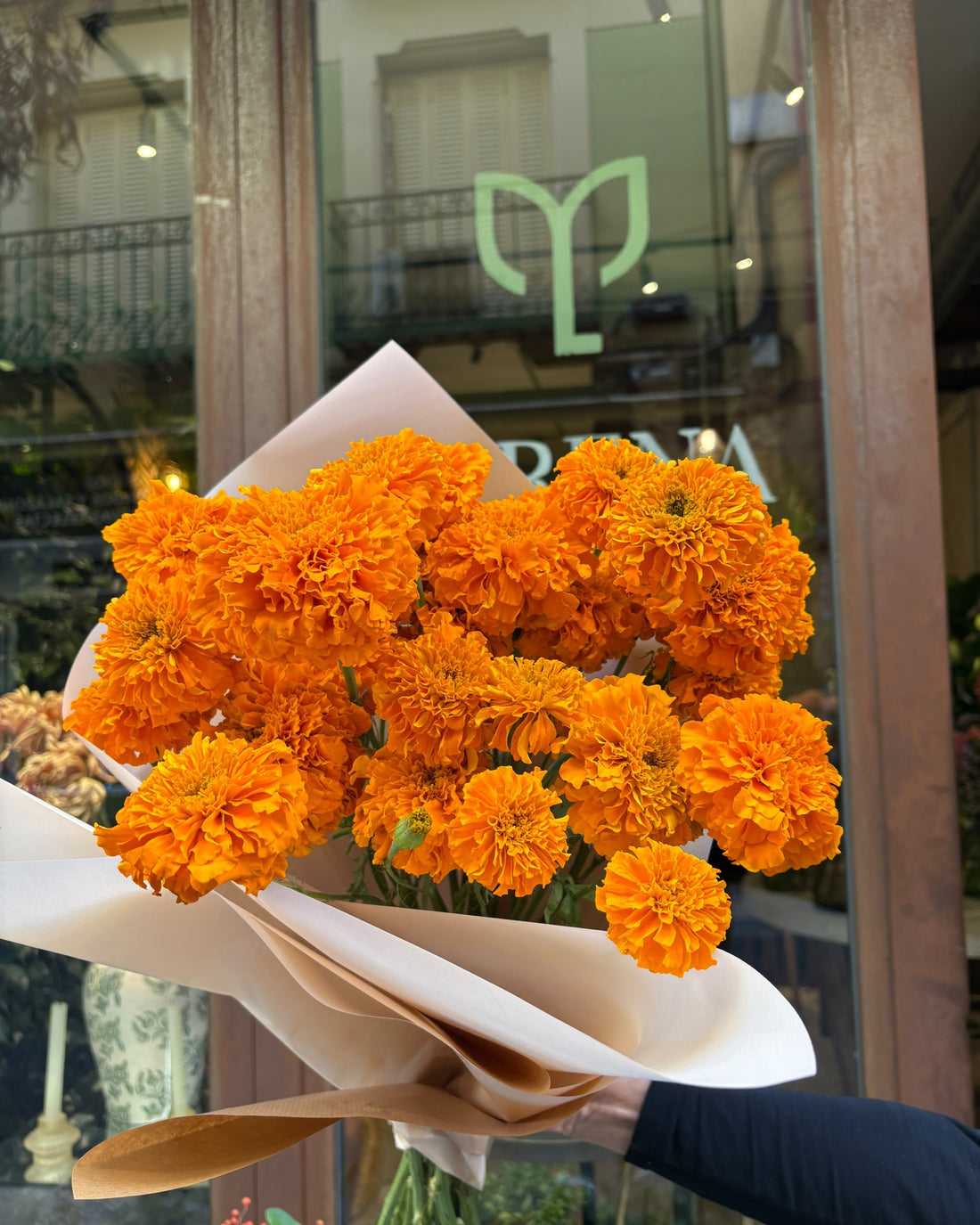 Paquete de cempasúchil naranja envuelto en papel, delante del escaparate de Lorena Marco en C/ Ruda 15, Madrid
