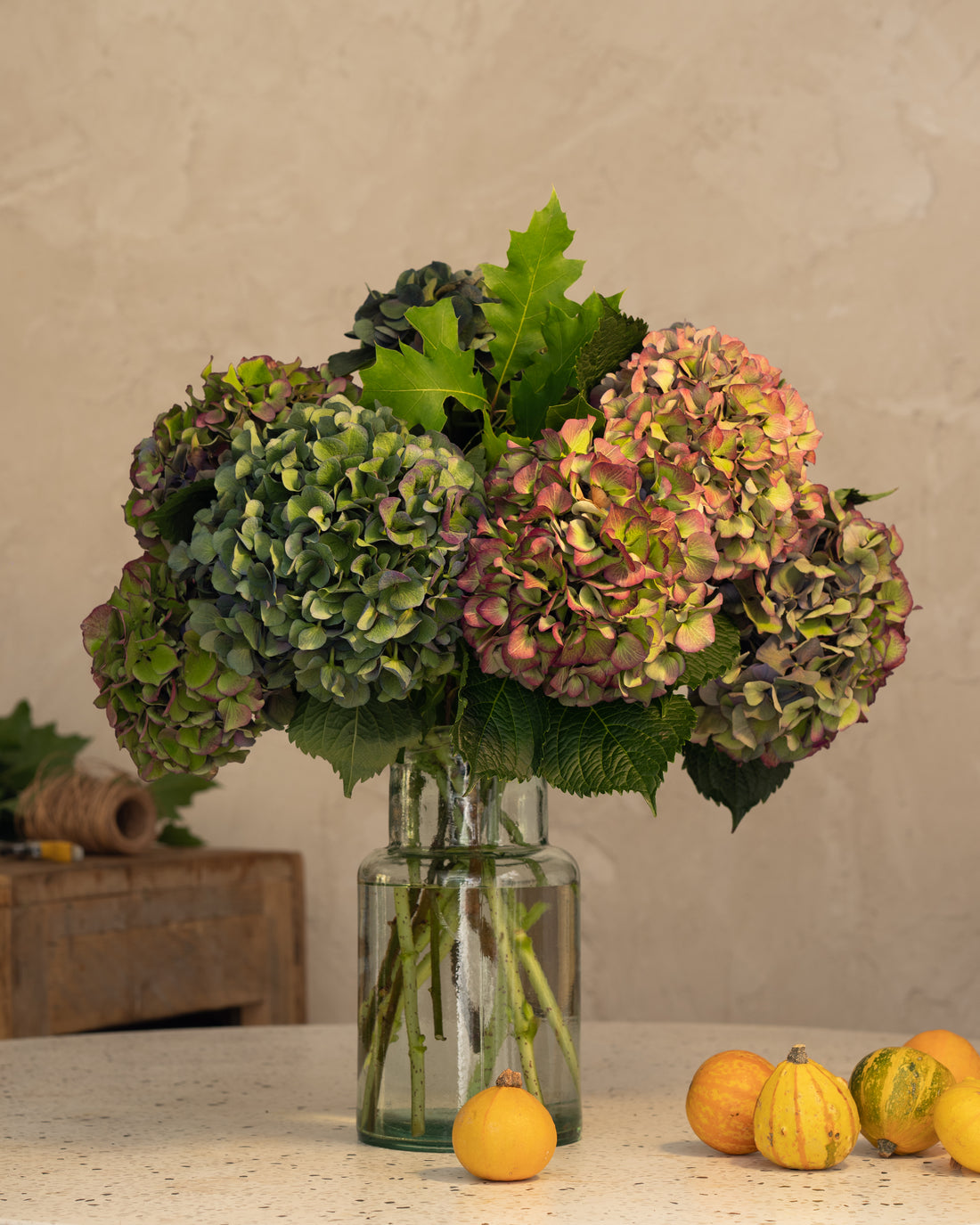 Ramo de hortensias frescas en tonos verdes y rosados, vista completa