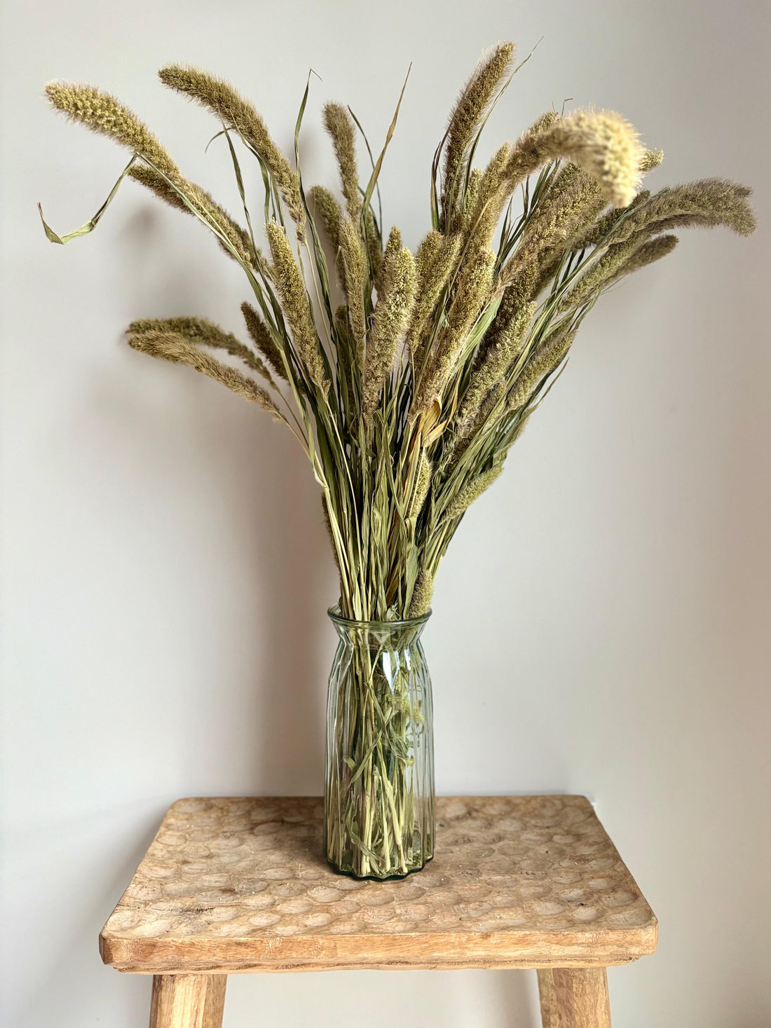 Setaria Natural