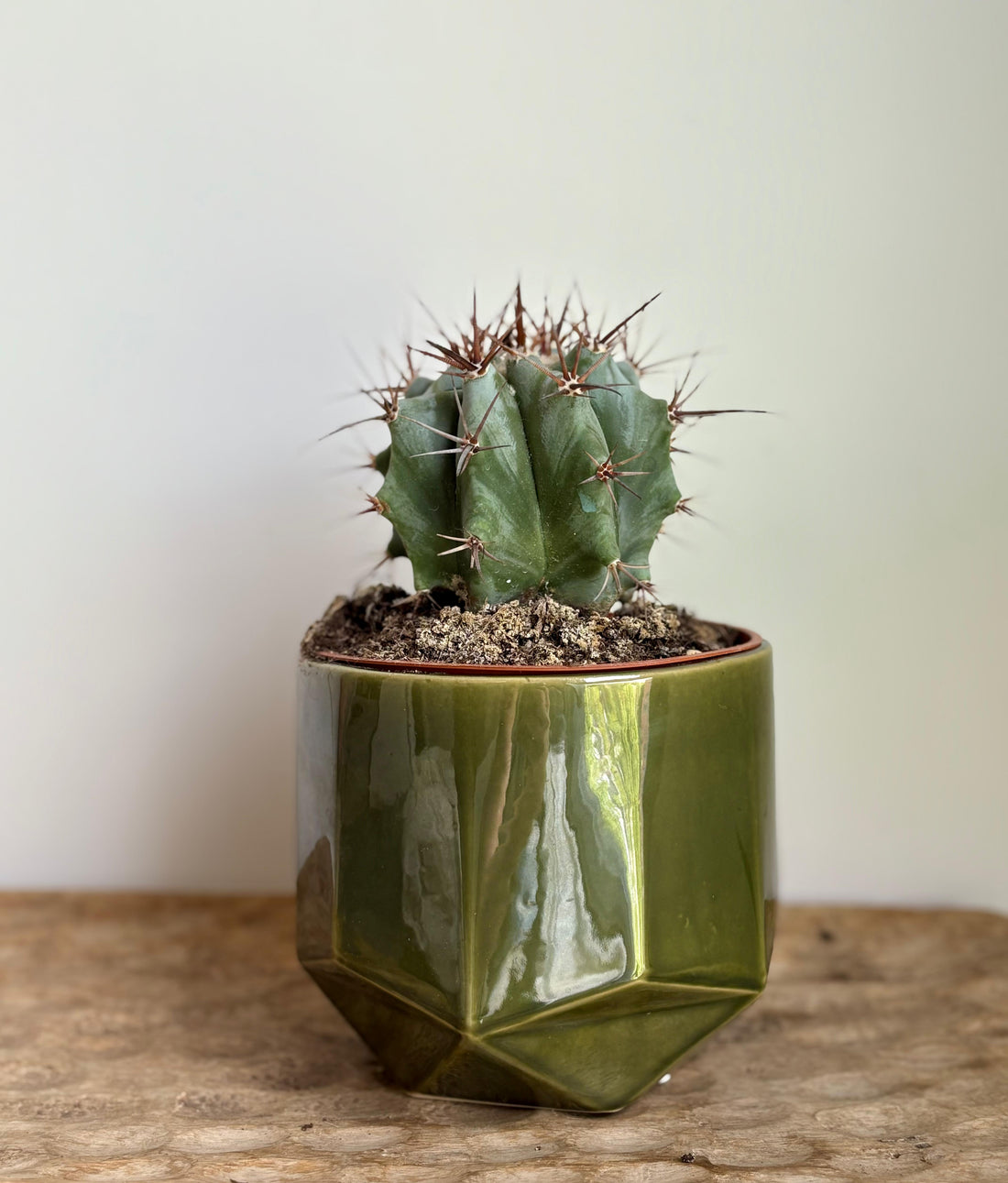 Kaima Green M